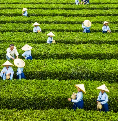 魔都探店日历｜上海吃喝指南｜聚会推荐：2025年最值得收藏的觅食地图🔥