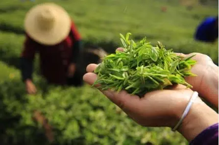 申城周末自驾🏞️淀山湖环湖骑行露营烧烤，到底值不值？